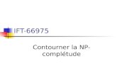 IFT-66975 Contourner la NP-complétude. Que faire face à la NP-complétude? Pour une application précise, je veux trouver la plus grande clique possible.