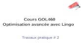 Cours GOL460 Optimisation avancée avec Lingo Travaux pratique # 2.