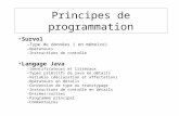 Principes de programmation Survol –Type de données ( en mémoire) –Opérateurs –Instructions de contrôle Langage Java –Identificateurs et littéraux –Types.