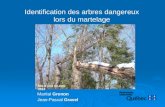 Identification des arbres dangereux lors du martelage Martial Grenon Jean-Pascal Gravel 1 Mis à jour en avril 2013.