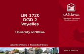 LIN 1720 DGD 2 Voyelles University of Ottawa. Plan du DGD 2 – Voyelles Retour sur le cours –Carctéristiques articulatoires –Corrélats acoustiques Texte.