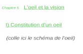 Chapitre 5 Loeil et la vision I) Constitution dun oeil (colle ici le schéma de loeil)