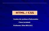 HTML / CSS Gestion des systèmes dinformation Classe terminale Professeur: Mme BELLILI.