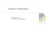 1 Système dinformation Terminale: GSI Professeur: Mme BELLLI.