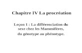 Chapitre IV La procréation Leçon 1 : La différenciation du sexe chez les Mammifères, du génotype au phénotype.