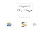 Thyroïde Physiologie Jean-Louis Sadoul. C. Médullaire Thyroïdien.
