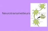 Neurotransmetteurs. Quel est un neurotransmetteur? Cest un composé chimique libéré par les neurones qui peuvent agir sur dautres neurones Note: Un abréviation.