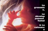 La grossesse, Le développement foetal & La naissance.