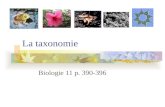 La taxonomie Biologie 11 p. 390-396. Définition La taxonomie (taxis = disposition; nomos = loi) a pour objet de décrire les organismes vivants et de les.