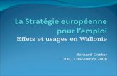 Effets et usages en Wallonie Bernard Conter ULB, 3 décembre 2008.