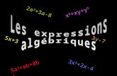 Les expressions algébriques 3x 2 +2x-4 5x+3 x 2 +xy+y 2 2a 2 +3a-8 3y-7 5a 2 +ab+8b 2.
