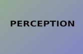 PERCEPTION. Définition La perception cest la façon dont chaque individu sélectionne et choisit ce quil regarde, la façon dont il lorganise et linterprète.