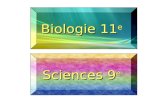 Biologie 11 e Biologie 11 e Sciences 9 e Sciences 9 e.
