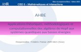 AHBE Applications théoriques, méthodologiques et computationnelles des algèbres de Hopf aux systèmes quantiques aux basses énergies Responsable : Frédéric.