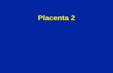 Placenta 2. Placenta Discoïde : forme de disqueDiscoïde : forme de disque Villeux : villosités chorialesVilleux : villosités choriales Hémo-chorial :