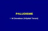 PALUDISME M Develoux (Hôpital Tenon). Le problème Paludisme fléaux mondial: 300 à 500 millions de cas/an pour 2,3 milliard de personnes exposées; 1,5.