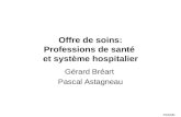 PCEM1 Offre de soins: Professions de santé et système hospitalier Gérard Bréart Pascal Astagneau.