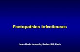 Foetopathies infectieuses Jean-Marie Jouannic, Rothschild, Paris.