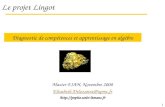 1 Le projet Lingot Master EIAH, Novembre 2008  @upmc.fr   Diagnostic de comp©tences et apprentissage en alg¨bre