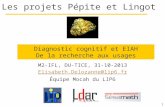 1 Les projets Pépite et Lingot M2-IFL, DU-TICE, 31-10-2013 Elisabeth.Delozanne@lip6.fr Équipe Mocah du LIP6 Diagnostic cognitif et EIAH De la recherche.