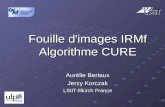 Fouille d'images IRMf Algorithme CURE Aurélie Bertaux Jerzy Korczak LSIIT-Illkirch France.