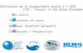 Modélisation de la biogéochimie marine à lIPSL (TOP : Tracers in the Ocean Paradigm) N os outils D es projets en cours Q uelques résultats marquants C.