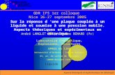 Aspects théoriques et expérimentaux en détonique liquide GDR IFS 1er colloque Nice 26-27 septembre 2005 Sur la réponse d une plaque couplée à un liquide.
