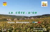 L A A C Ô T E E - - D O R Région B ourgogne F rance Musical & Automatique Mettre le son plus fort 6 juin 2014 FRANCE.