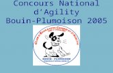 Concours National dAgility Bouin-Plumoison 2005 Concours National d'Agility 2005 01.