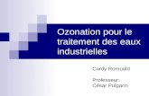 Ozonation pour le traitement des eaux industrielles Curdy Romuald Professeur: César Pulgarin.