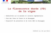 1 La flavescence dorée (FD) de la vigne Généralités sur la maladie et contexte réglementaire Etat des lieux en France et en Bourgogne Dispositif de prévention.
