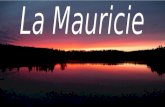 La Mauricie a une superficie de 40 000 km2. Dans la Mauricie on peut voir de nombreuses forêts boréales en plus de barrages hydroélectriques et des.