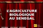 LAGRICULTURE BIOLOGIQUE AU SENEGAL Ruth MolinarJulien Rossani Julien Herbin.