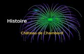 Histoire Château de Chambord. LE CHÂTEAU Le château de Chambord est le plus vaste château de la Loire. Il a été construit en 1519 par des ouvriers de
