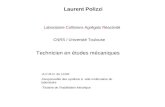 Laurent Polizzi Laboratoire Collisions Agrégats Réactivité CNRS / Université Toulouse Technicien en études mécaniques -A.C.M.O. du LCAR -Responsable des.