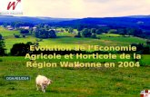 Evolution de lEconomie Agricole et Horticole de la Région Wallonne en 2004 DGA/IG1/D14.