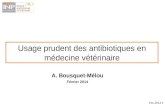 Usage prudent des antibiotiques en médecine vétérinaire A. Bousquet-Mélou Février 2014 Fev-2014 1.