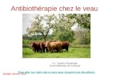 Antibiothérapie chez le veau P.L. Toutain Physiologie Ecole vétérinaire de Toulouse Update Janvier 2012 Pour aller sur notre site si vous avez récupéré.