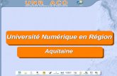 Université Numérique en Région Aquitaine. Un contexte numérique 92% des ménages avec un enfant au collège sont équipés, tout comme 87% des Aquitains de.