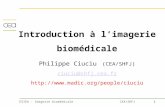 1ESIEA – Imagerie biomédicaleCEA/SHFJ Introduction à limagerie biomédicale Philippe Ciuciu (CEA/SHFJ) ciuciu@shfj.cea.fr