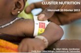 CLUSTER NUTRITION Mercredi 20 Février 2013 M. Albert Tshiula, Coordinateur Melle Anne-Céline Delinger, Gestionnaire de lInformation.