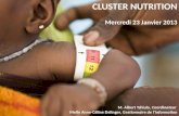 CLUSTER NUTRITION Mercredi 23 Janvier 2013 M. Albert Tshiula, Coordinateur Melle Anne-Céline Delinger, Gestionnaire de lInformation.
