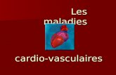 Les maladies cardio-vasculaires. Le cœur  peca/coeur.html.