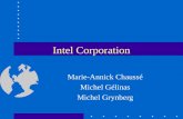 Intel Corporation Marie-Annick Chaussé Michel Gélinas Michel Grynberg