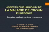 A. CHETIBI – K. CHAOU SERVICE DE CHIRURGIE GENERALE CHU DE BENI MESSOUS ASPECTS CHIRURGICAUX DE LA MALADIE DE CROHN EN URGENCE formation médicale continue.