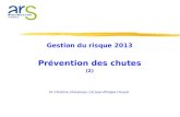 Gestion du risque 2013 Prévention des chutes (2) Dr Christine Chansiaux / Dr Jean-Philippe Flouzat.