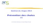 Gestion du risque 2013 Prévention des chutes (1) Dr Christine Chansiaux / Dr Jean-Philippe Flouzat.
