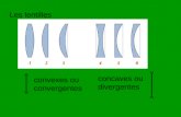 Les lentilles convexes ou convergentes concaves ou divergentes.