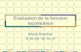 Mars 2003 SOI 3231 Évaluation système musculosquelettique1 Évaluation de la fonction locomotrice Marie Boucher B.Sc.Inf., M. Sc. A.