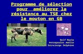 Programme de sélection pour améliorer la résistance au TSE chez le mouton en GB Nolf Marie Petropoulos Amélie Saincierge Delphine.
